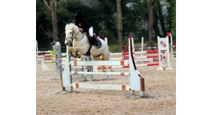 RANTANPLAN DE ST GRIS